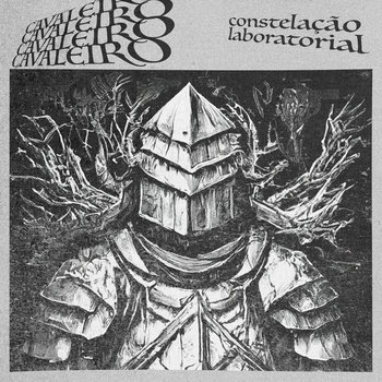 QDS 3 ⍚ CONSTELAÇÃO LABORATORIAL